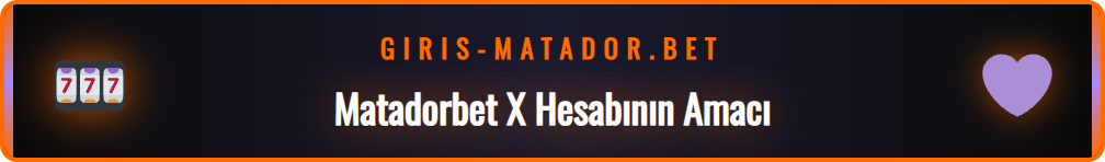 Matadorbet X platformunun ne olduğunu açıklayan bilgilendirici grafik.